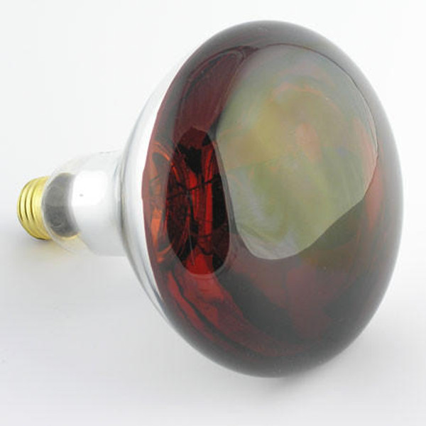 Infrared Heat Bulbs 250 Watt Splash Resistant